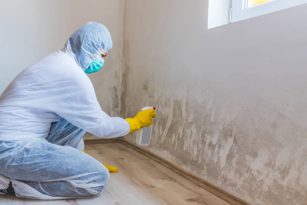 Mold Remediation specialist working in Merrick